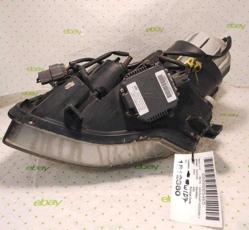 04 05 06 NISSAN MAXIMA Headlamp Assembly Right